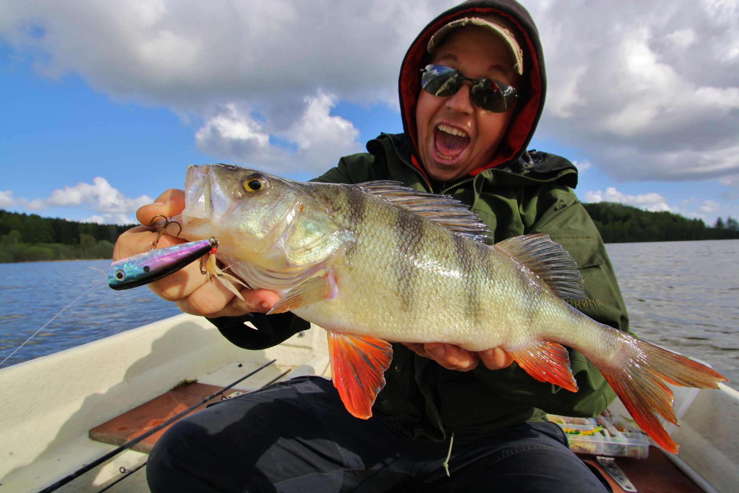 Fiske med Popper. Agn etter abbor og gjedde. fiske